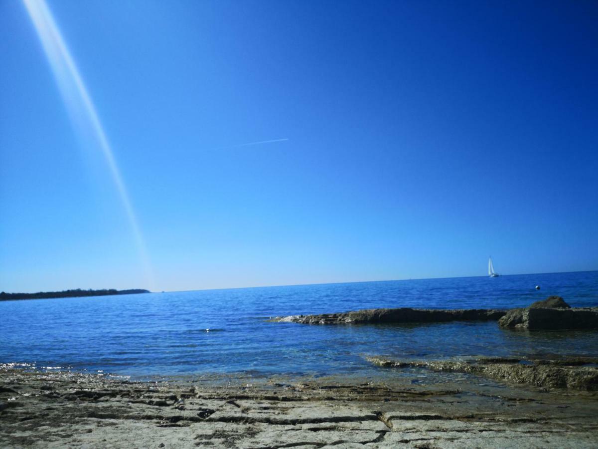 West Coast Mobilhome With Xxl Terrace In Naturist Resort Solaris Fkk Tar-Vabriga エクステリア 写真